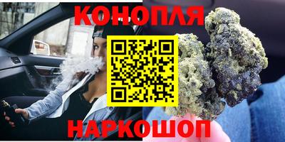 гидра Будённовск