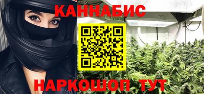 гидра Будённовск