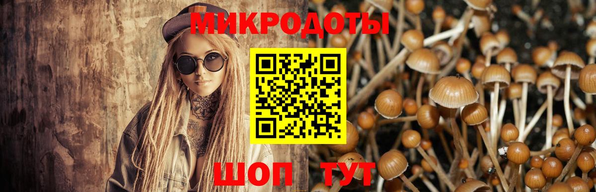 Галлюциногенные грибы Magic Shrooms Реж