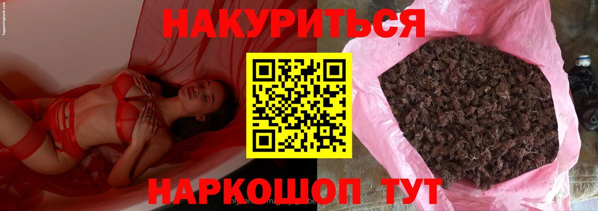 Реж  Бошки марихуана MAZAR  Шишки марихуана Ganja  Марихуана планчик  Вход с VPN 